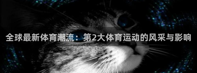 哈哈体育：全球最新体育潮流：第2大体育运动的风采与影响