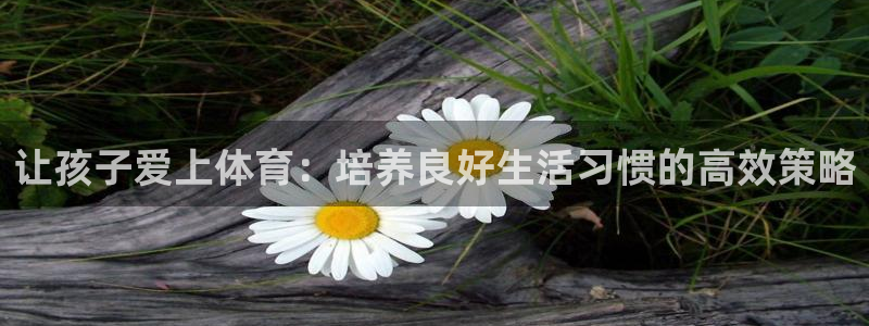 哈哈体育十年：让孩子爱上体育：培养良好生活习惯的高效策略