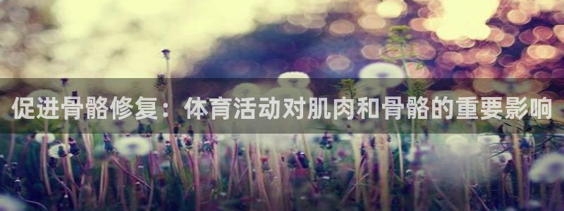 哈哈体育十年：促进骨骼修复：体育活动对肌肉和骨骼的重要影响