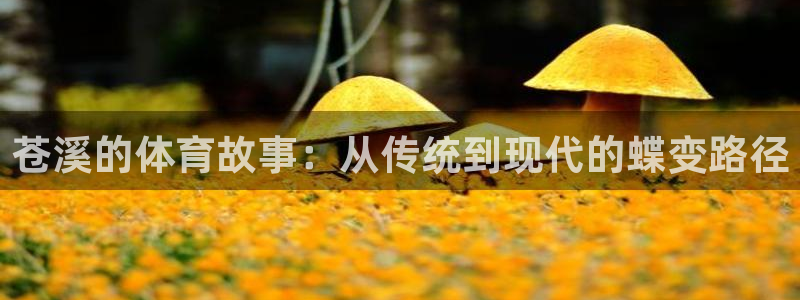 哈哈体育下载：苍溪的体育故事：从传统到现代的蝶变路径