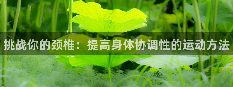 哈哈体育下载：挑战你的颈椎：提高身体协调性的运动方法