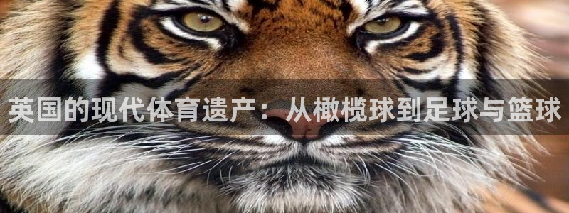 哈哈体育：英国的现代体育遗产：从橄榄球到足球与篮球