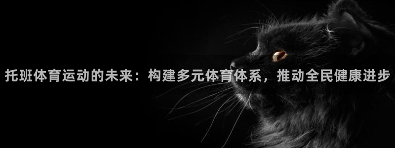 哈哈体育十年