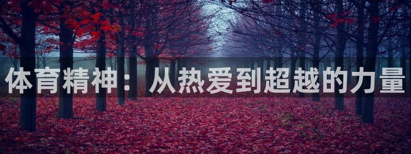 哈哈体育十年