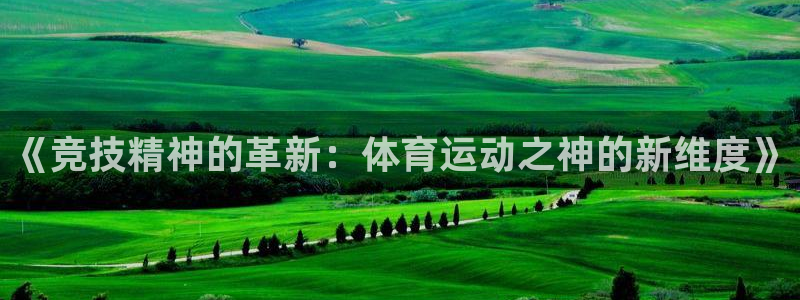 哈哈体育十年