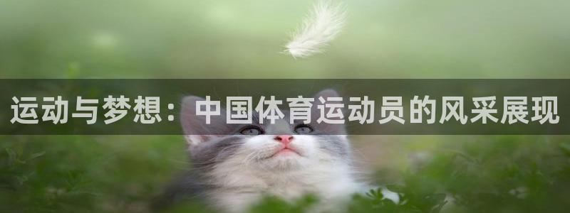 哈哈体育下载：运动与梦想：中国体育运动员的风采展现
