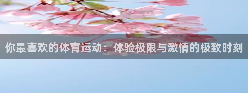 哈哈体育：你最喜欢的体育运动：体验极限与激情的极致时刻