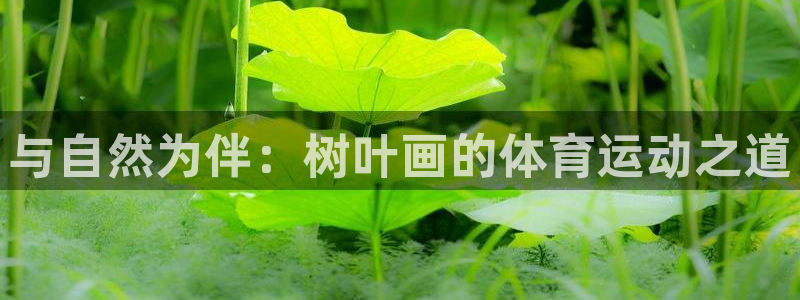 哈哈体育十年：与自然为伴：树叶画的体育运动之道