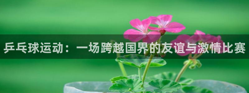 哈哈体育下载：乒乓球运动：一场跨越国界的友谊与激情比赛